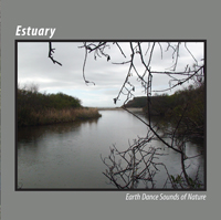 Estuary album cover