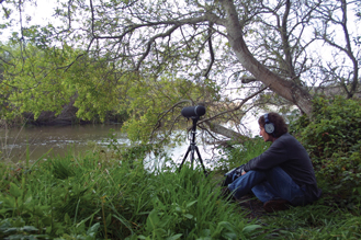 Searles recording at the Big Sur River estuary