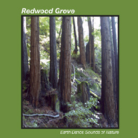 Redwood Grove album cover