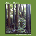 Redwood Grove